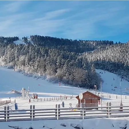 Ax 3 Domaines Plateau De Bonascre Duplex Face Aux Pistes Avec Terrasse