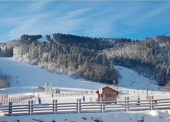Ax 3 Domaines Plateau De Bonascre Duplex Face Aux Pistes Avec Terrasse
