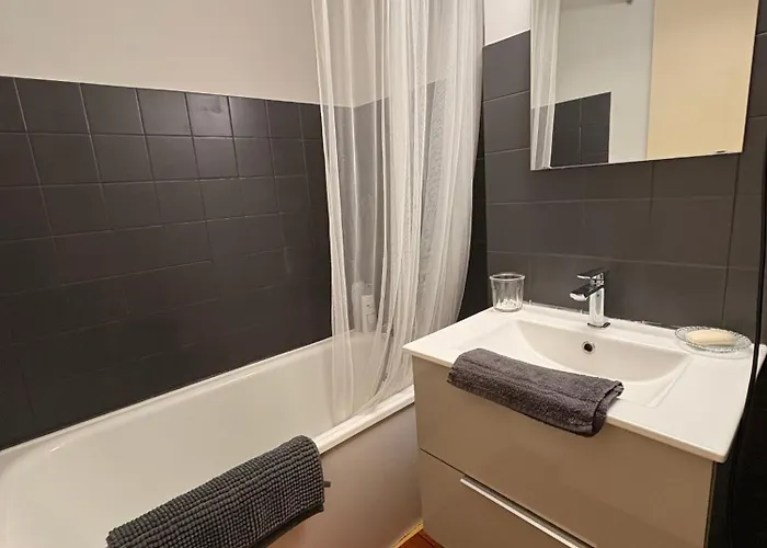 Ax 3 Domaines Plateau De Bonascre Duplex Face Aux Pistes Avec Terrasse