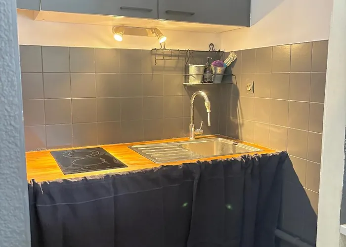 Ax 3 Domaines Plateau De Bonascre Duplex Face Aux Pistes Avec Terrasse Apartment Ax-les-Thermes